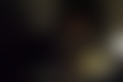 Фотография квеста Совершенно секретно от компании Квестерн (Фото 1)