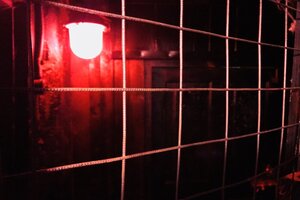 Фотография квеста Подземелье от компании Lobotomy (Фото 2)