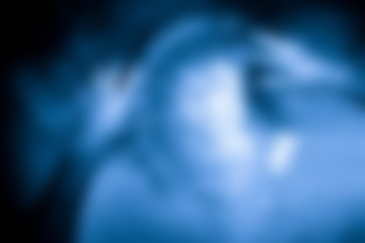 Фотография морфеуса Тень от компании Хочу квест (Фото 3)