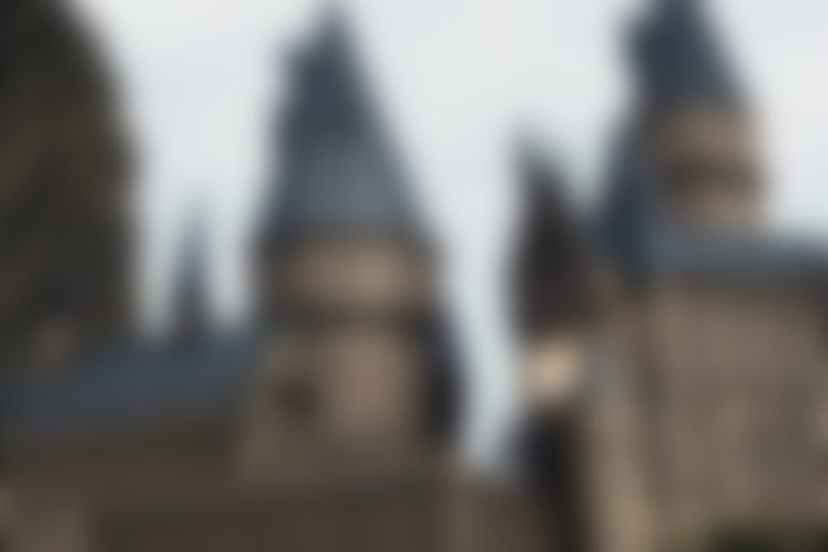 Фотография ролевого квеста Волшебные земли Хогсмида от компании Капуста (Фото 1)