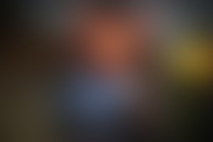 Фотография квеста Клетка Мауса. Лабиринт от компании Пятый угол (Фото 1)