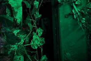Фотография перформанса Outlast II от компании Play Room (Фото 5)