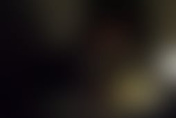 Фотография квеста Совершенно секретно от компании Квестерн (Фото 1)